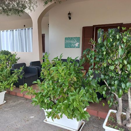 Mivida "Le Stanze Di Ada" Bed & Breakfast San Teodoro  Bagian luar foto