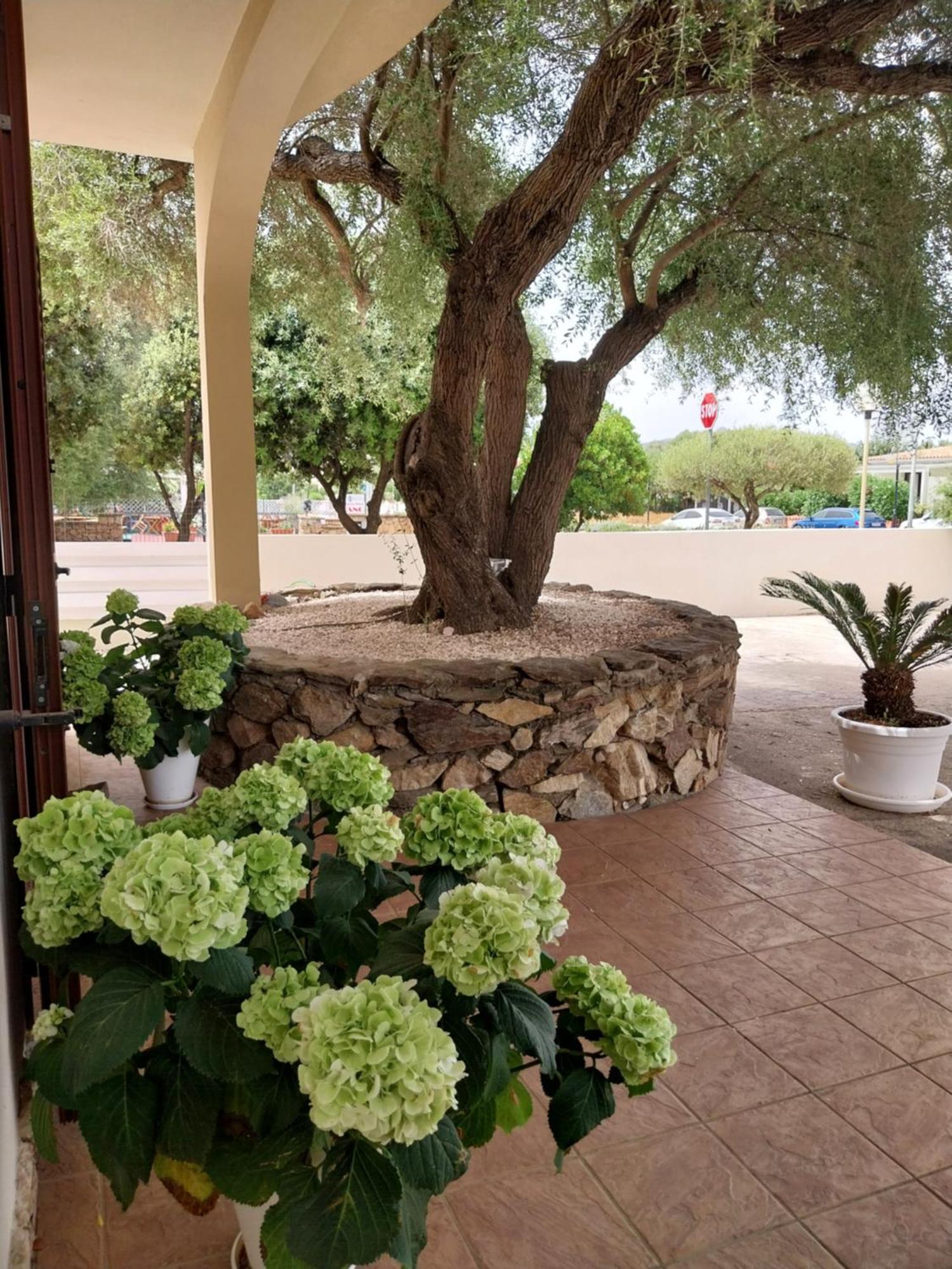 Mivida "Le Stanze Di Ada" Bed & Breakfast San Teodoro  Bagian luar foto