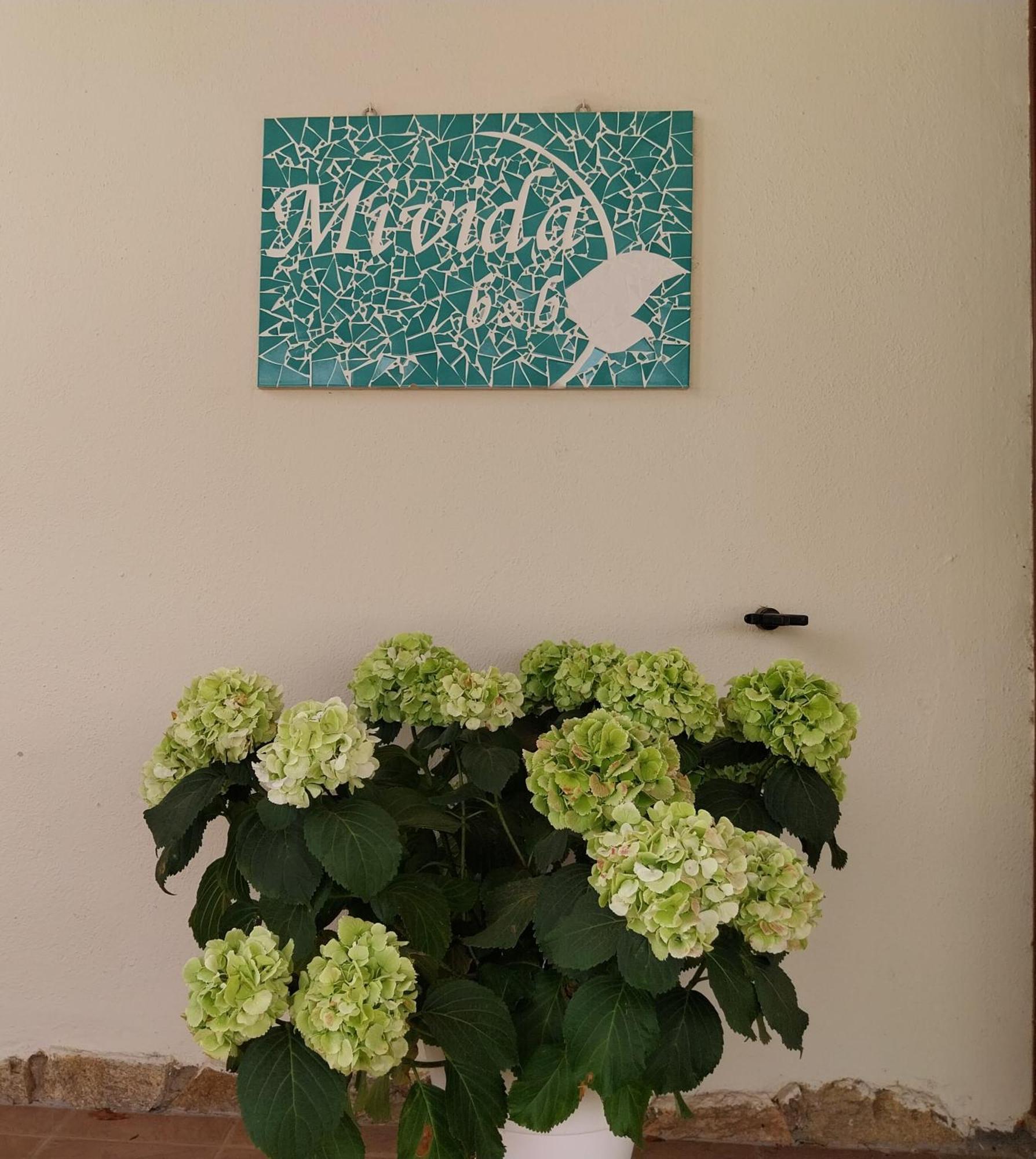 Mivida "Le Stanze Di Ada" Bed & Breakfast San Teodoro  Bagian luar foto